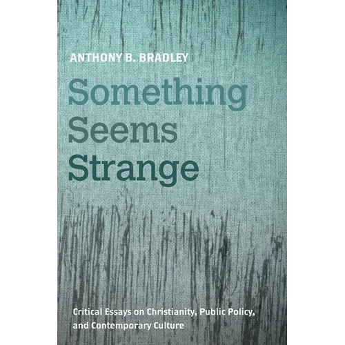 Something Seems Strange: Critical Essays on Christianity, Public Policy, and Contemporary Culture