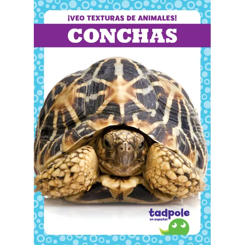 Conchas (Shells)