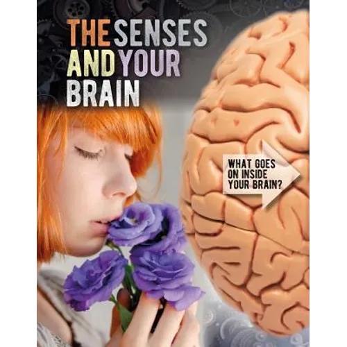 The Senses and Your Brain
