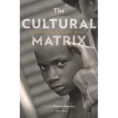 The Cultural Matrix: Understanding Black Youth