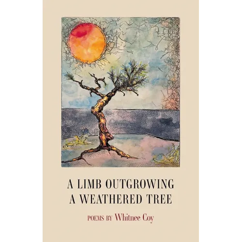 A Limb Outgrowing a Weathered Tree