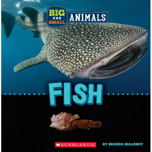 Fish (Wild World: Big and Small Animals)