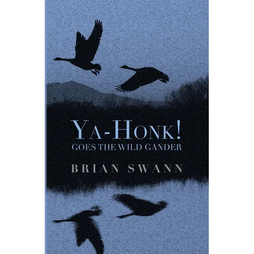 Ya-Honk! Goes the Wild Gander