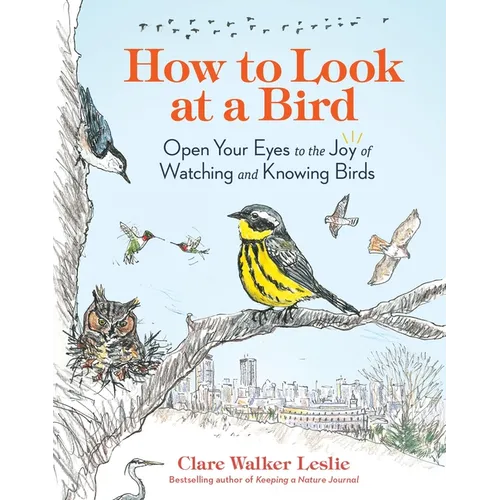 How to Look at a Bird: Open Your Eyes to the Joy of Watching and Knowing Birds