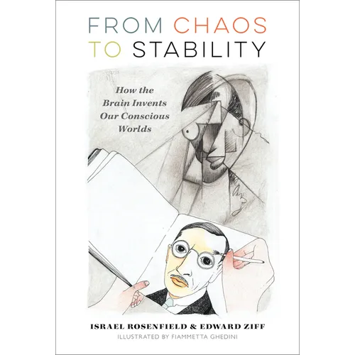 From Chaos to Stability: How the Brain Invents Our Conscious Worlds