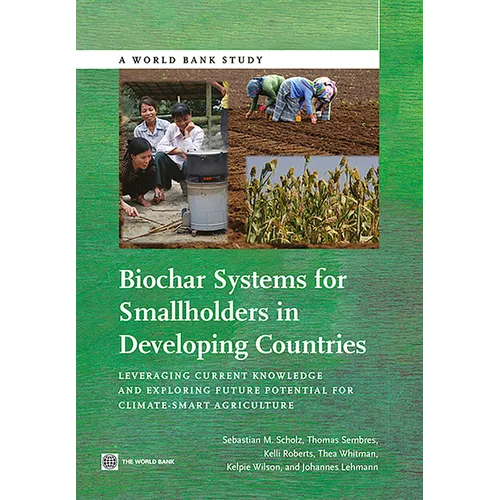Biochar Systems for Smallholders in Developing Countries: Leveraging Current Knowledge and Exploring Future Potential for Climate-Smart Agriculture