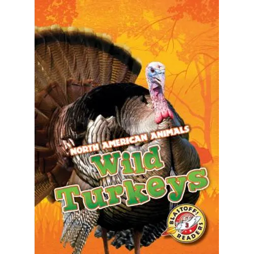 Wild Turkeys