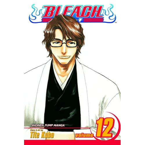 Bleach, Vol. 12