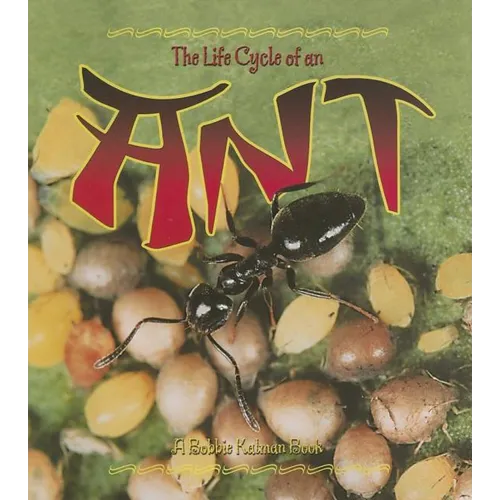 The Life Cycle of an Ant