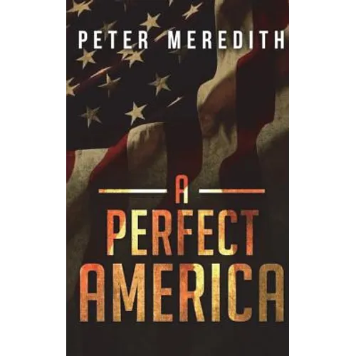 A Perfect America