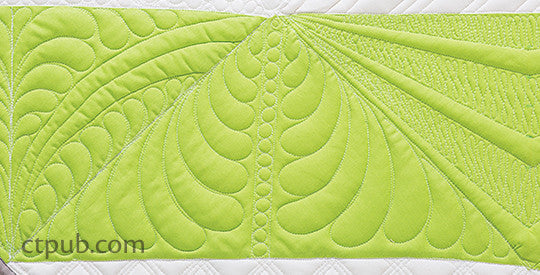Next Steps in Machine Quilting - Free-Motion & Walking Foot Designs Book