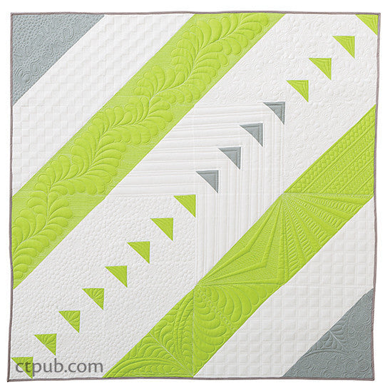 Next Steps in Machine Quilting - Free-Motion & Walking Foot Designs Book