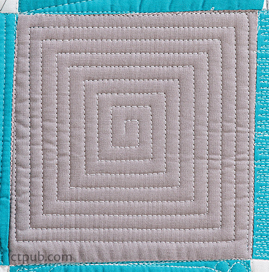 Next Steps in Machine Quilting - Free-Motion & Walking Foot Designs Book