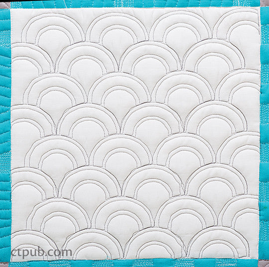 Next Steps in Machine Quilting - Free-Motion & Walking Foot Designs Book