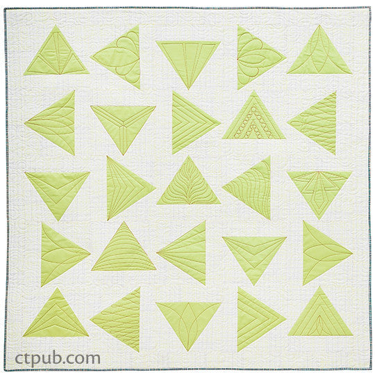 Shape by Shape Free-Motion Quilting with Angela Walters Book
