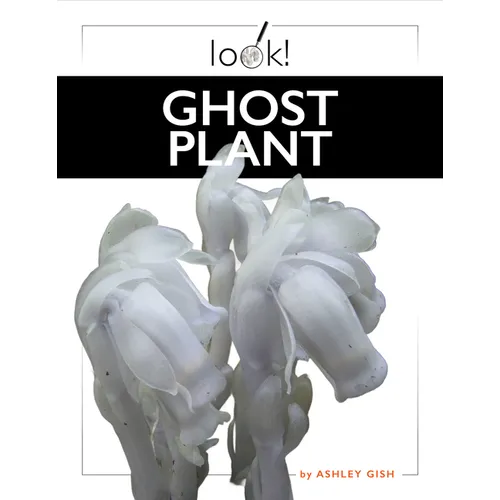 Ghost Plant