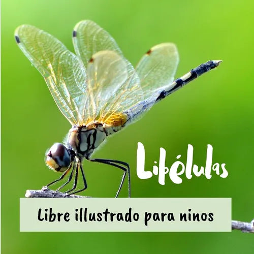 Libélulas: Libre illustrado para ninos