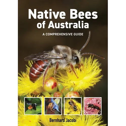 Native Bees of Australia: A Comprehensive Guide