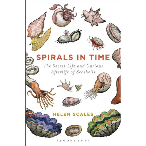 Spirals in Time: The Secret Life and Curious Afterlife of Seashells