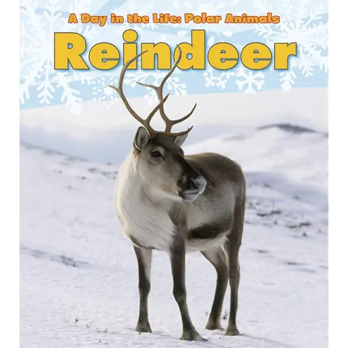 Reindeer