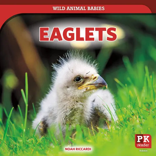 Eaglets