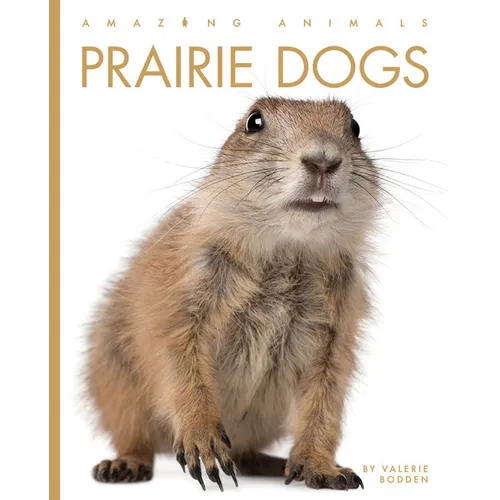Prairie Dogs - Paperback