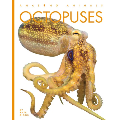 Octopuses