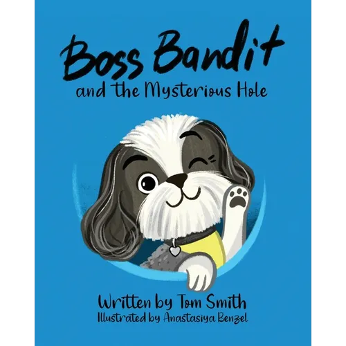 Boss Bandit and the Mysterious Hole