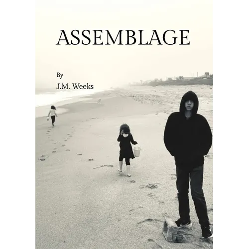 Assemblage