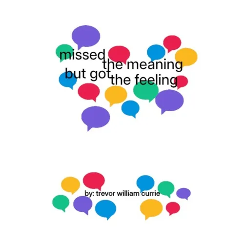 missed the meaning, but got the feeling