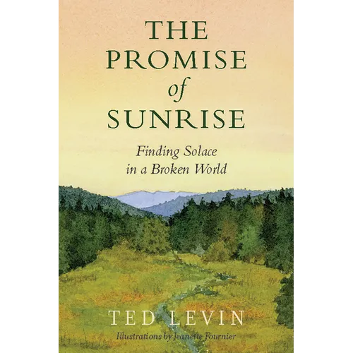 The Promise of Sunrise: Finding Solace in a Broken World