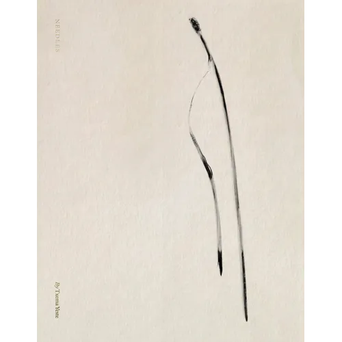 Txema Yeste: Needles