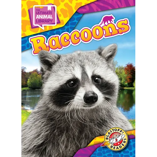 Raccoons