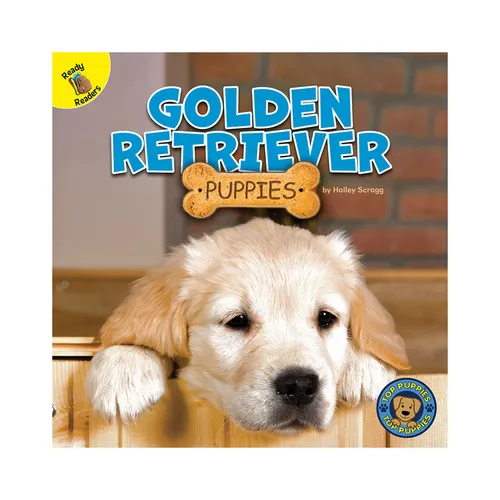 Golden Retriever Puppies
