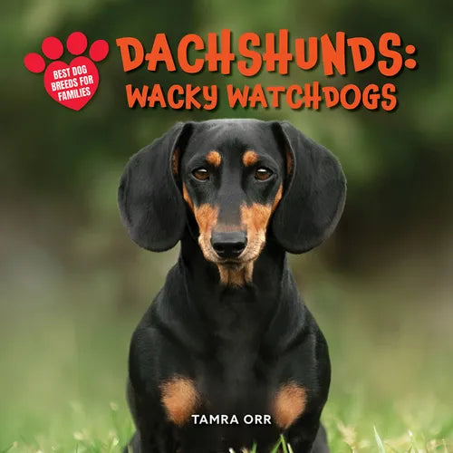 Dachshunds: Wacky Watchdogs