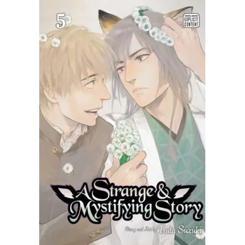 A Strange & Mystifying Story, Vol. 5