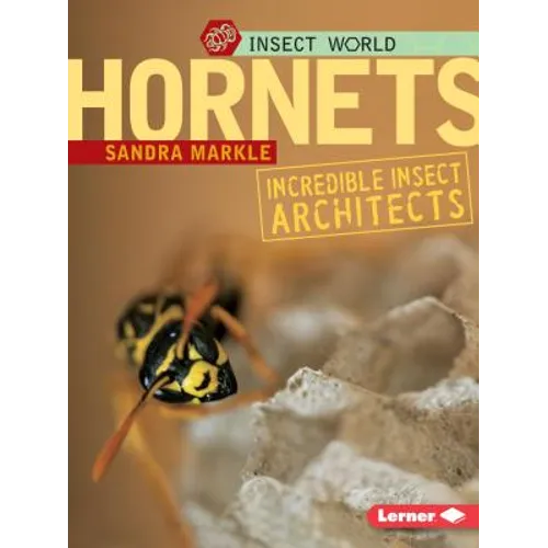 Hornets: Incredible Insect Architects