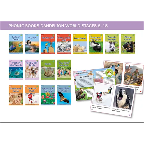 Phonic Books Dandelion World Stages 8-15 (Words with Four Sounds CVCC)