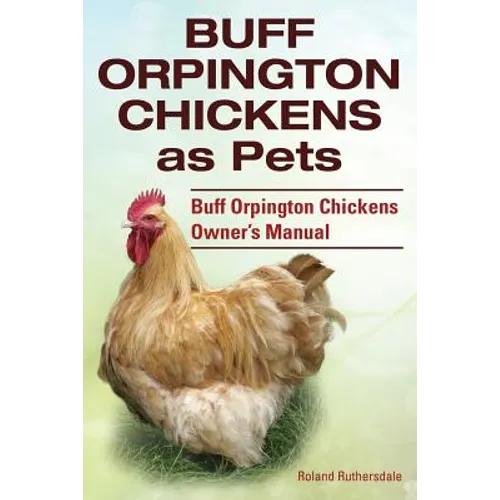 Buff Orpington Chickens as Pets. Buff Orpington Chickens Owner's Manual.