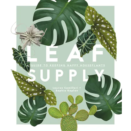 Leaf Supply: A Guide to Keeping Happy House Plants