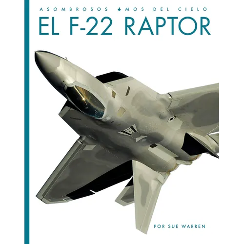 El F-22 Raptor
