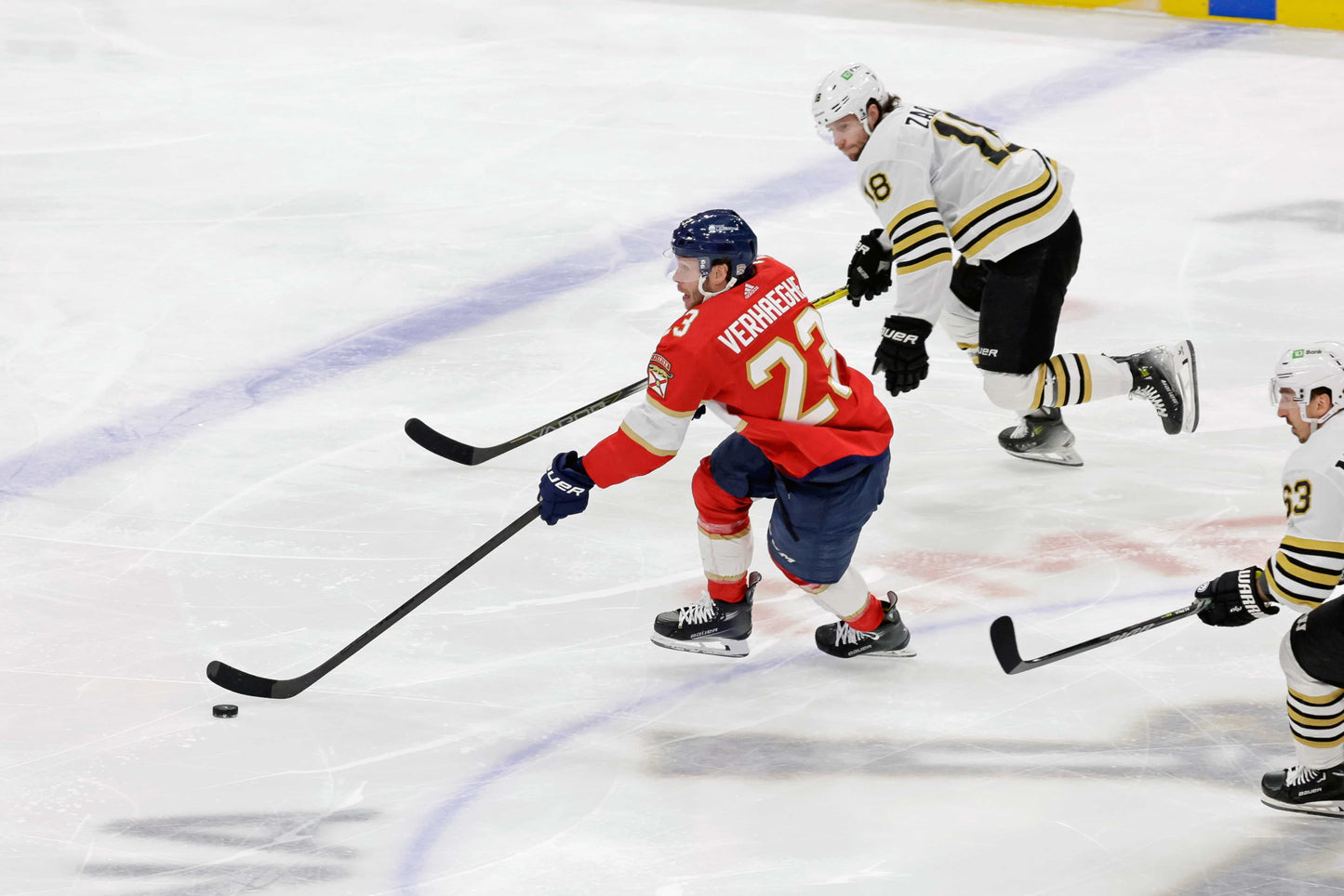 Redemption: Florida Panthers Finally Break Through to Win Their First Stanley Cup Book