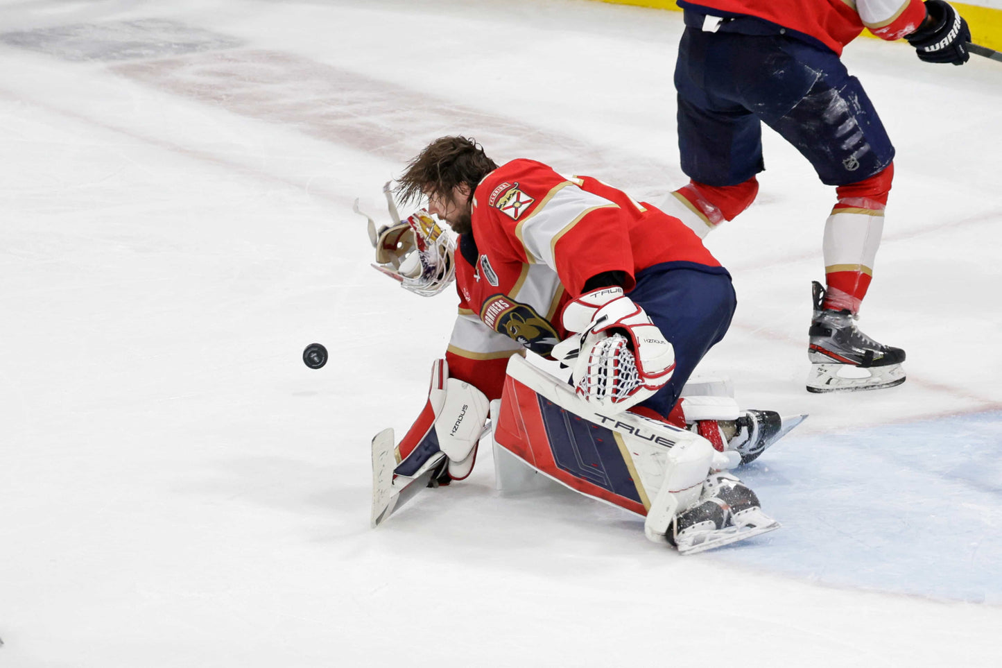 Redemption: Florida Panthers Finally Break Through to Win Their First Stanley Cup Book