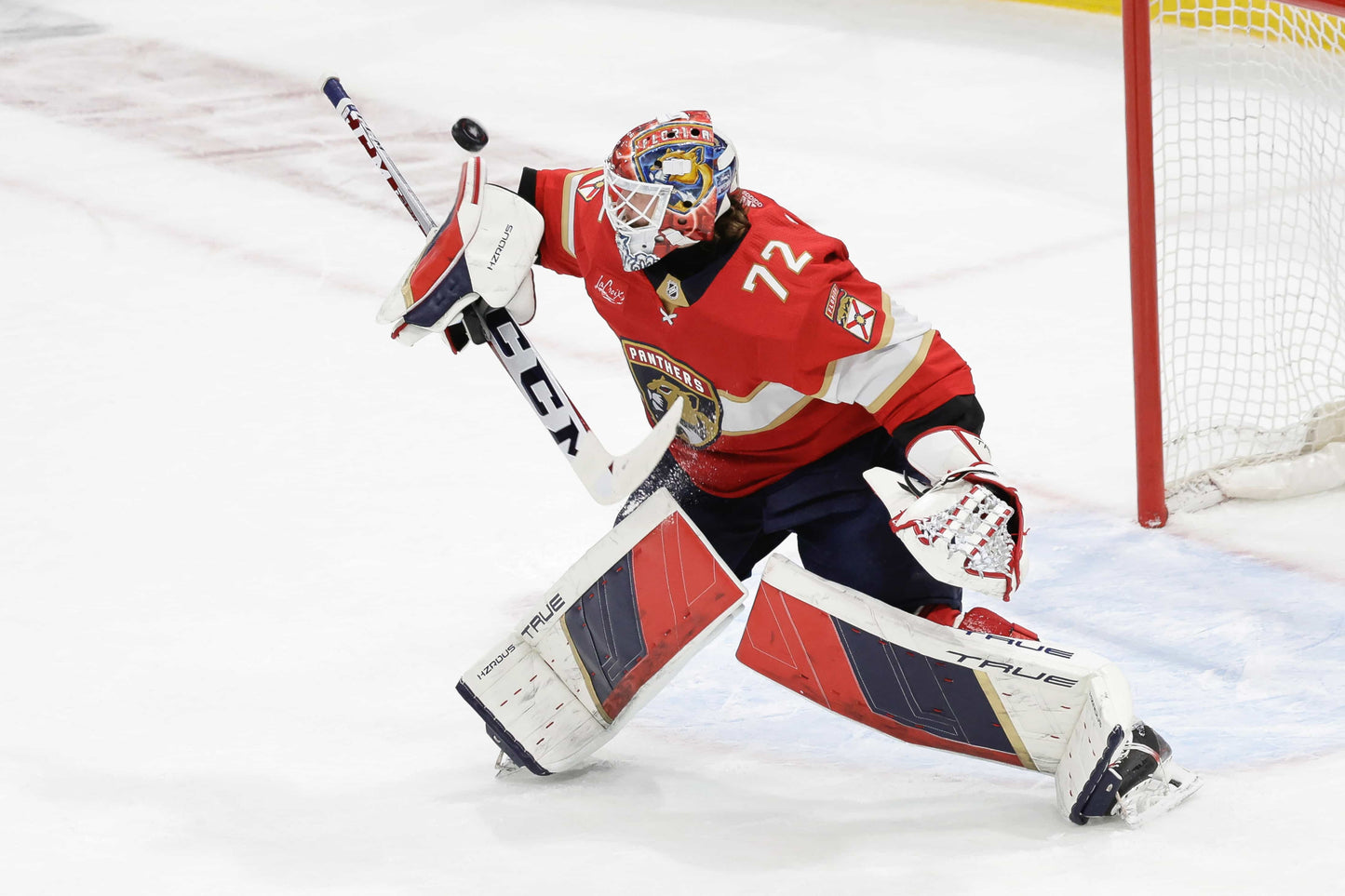 Redemption: Florida Panthers Finally Break Through to Win Their First Stanley Cup Book