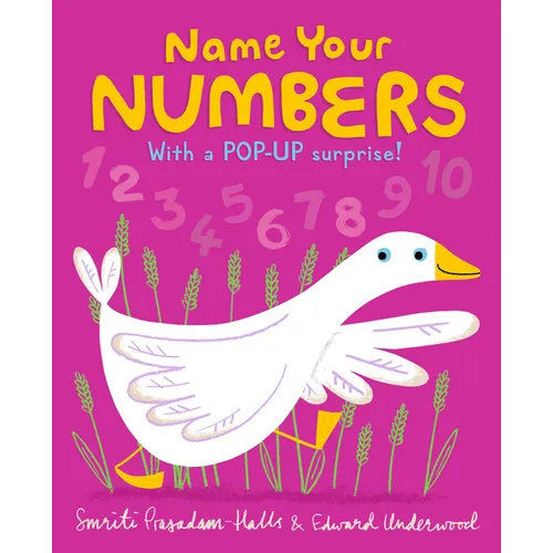 Name Your Numbers