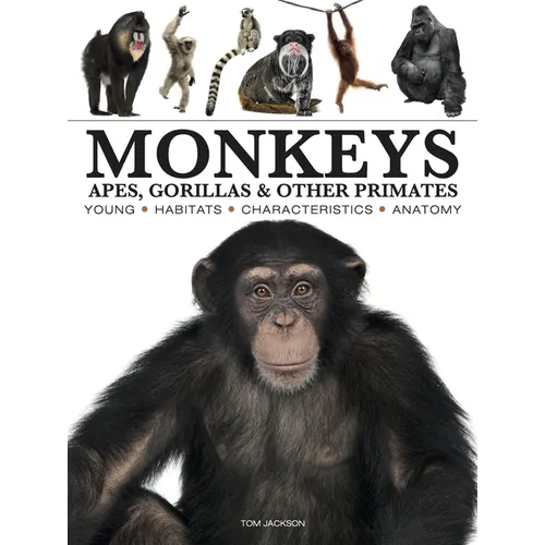 Monkeys