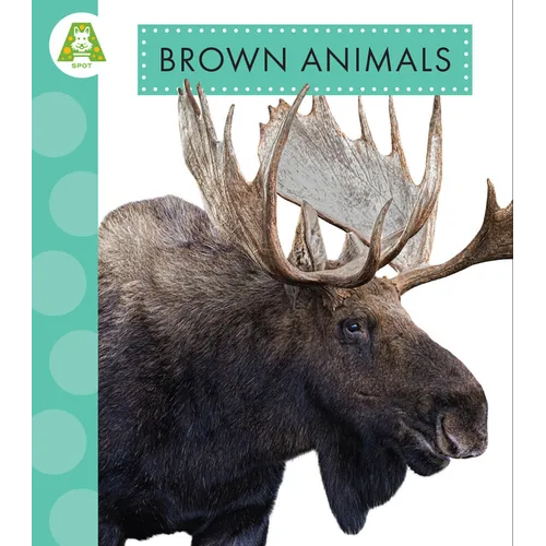 Brown Animals