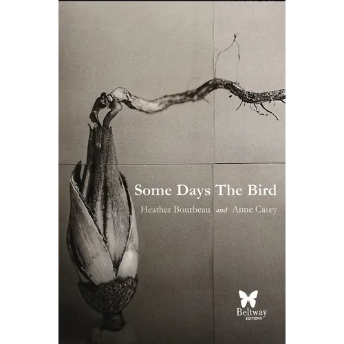 Some Days the Bird