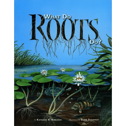 What Do Roots Do?