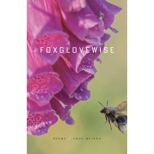 Foxglovewise